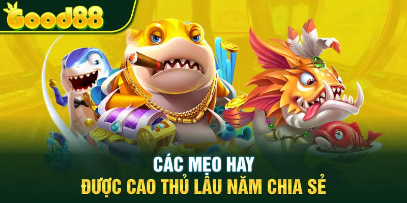 Các mẹo hay được cao thủ lâu năm chia sẻ